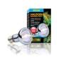 Preview: Exo Terra Halogen Basking Spot